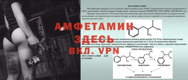 дмт Вяземский