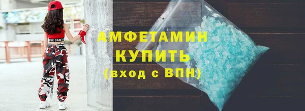 индика Вязники