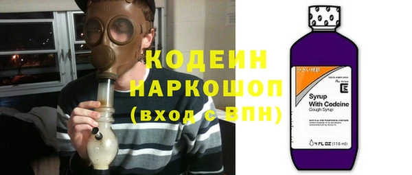 индика Вязники