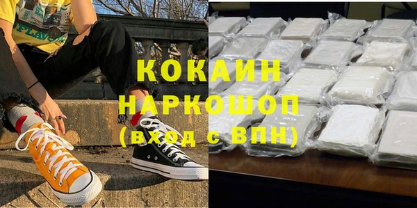 индика Вязники