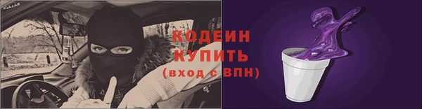 дмт Вяземский