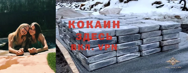 индика Вязники