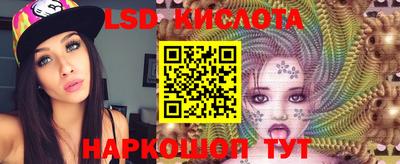 прущие грибы Балашиха