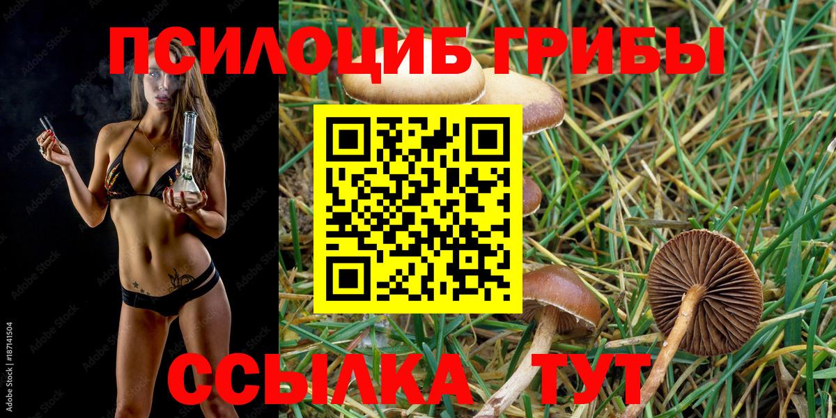 Галлюциногенные грибы прущие грибы Железноводск
