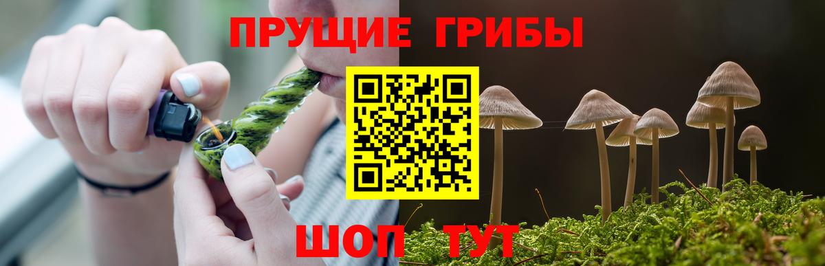 Железноводск  Галлюциногенные грибы мухоморы  Галлюциногенные грибы Psilocybine cubensis  Вход с VPN 